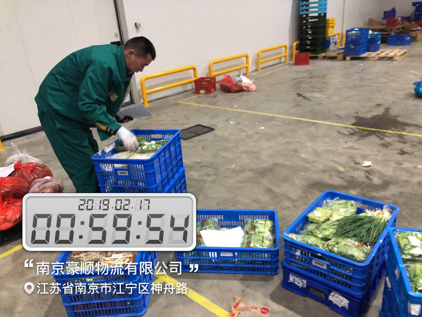 新鮮蔬菜配送 新鮮蔬菜配送